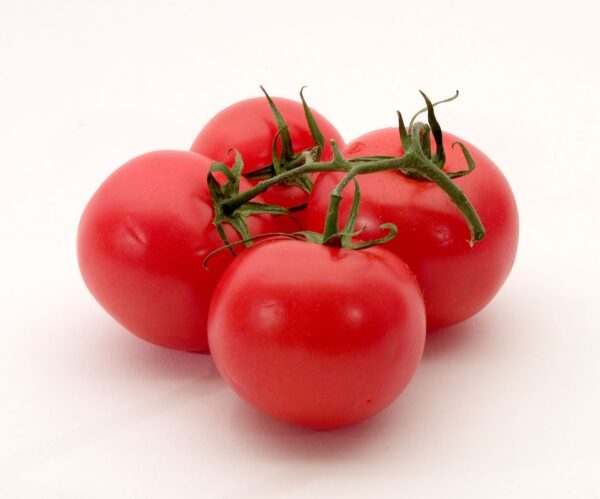 Tomatoes / kg